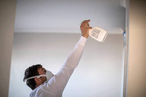Best Mold Removal and Inspection  in Parchment, MI