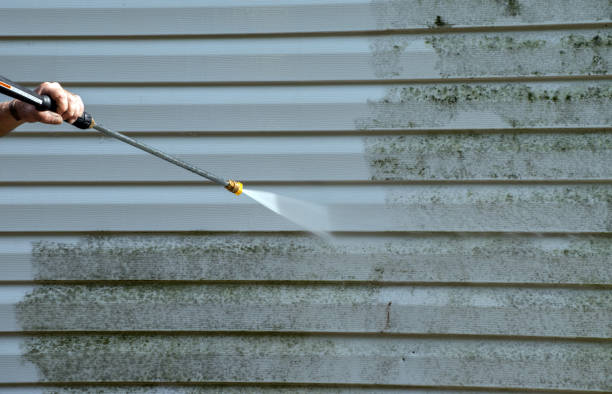 Best Attic Mold Removal  in Parchment, MI
