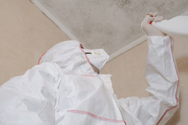 Office Mold Removal Services in Parchment, MI