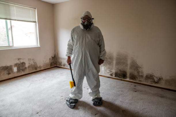Best Professional Mold Removal  in Parchment, MI